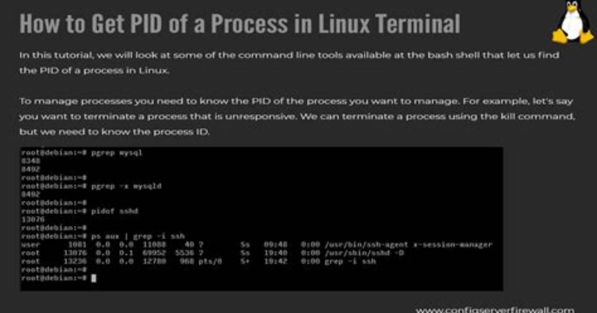 How Do I Run Pid in Linux?