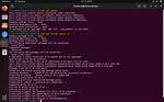 How Do I Run Putty on Linux?