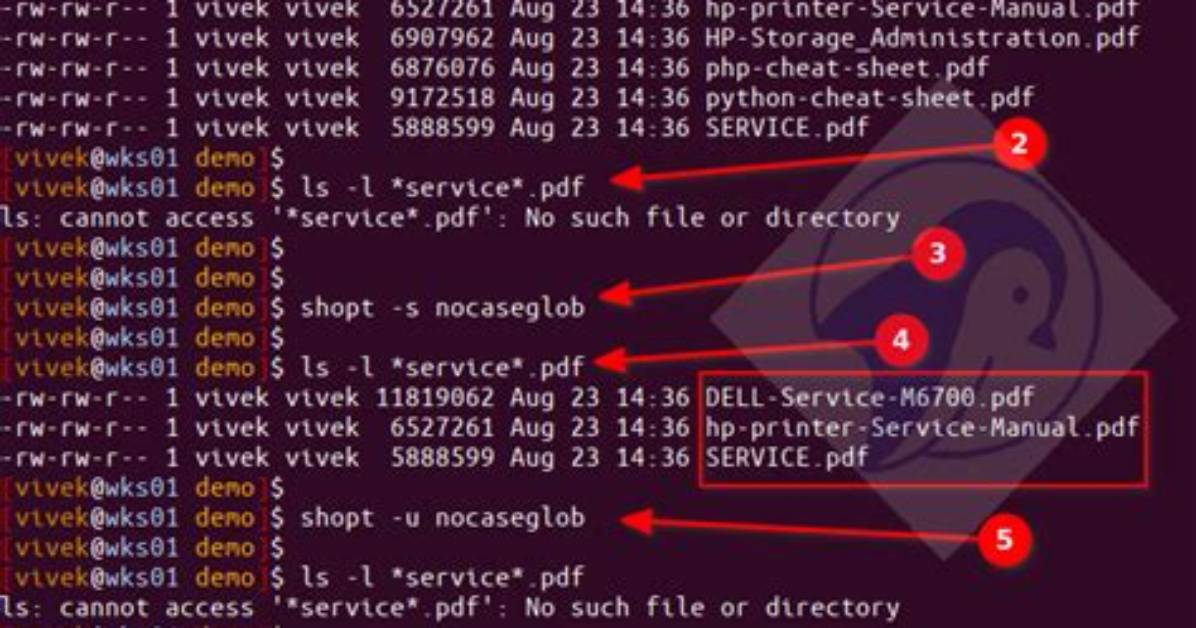 How Do I Run Unix Executable in Terminal?
