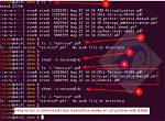 How Do I Run Unix Executable in Terminal?
