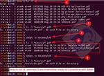 How Do I Run Unix Executable on Mac?