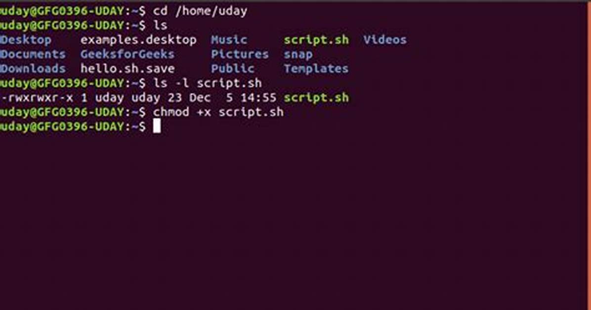 How Do I Save a Bash Script in Linux?