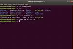 How Do I Save a Bash Script in Linux?