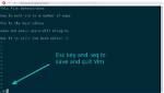 How Do I Save and Exit Vim in Linux?