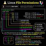 How Do I See Groups in Linux?