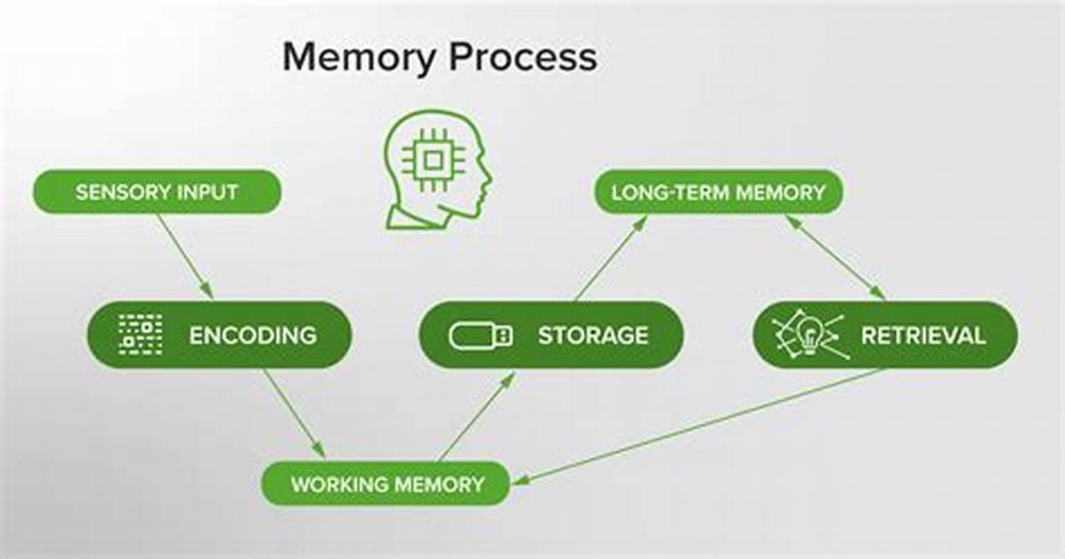 How Do I See Process Memory Utilization in Linux?