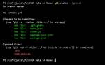 How Do I Select Git Ignore Node. Js After I've Already Created a Repository?