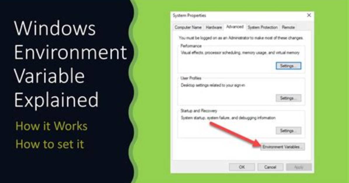 How Do I Set an Environment Variable in Linux Bash?