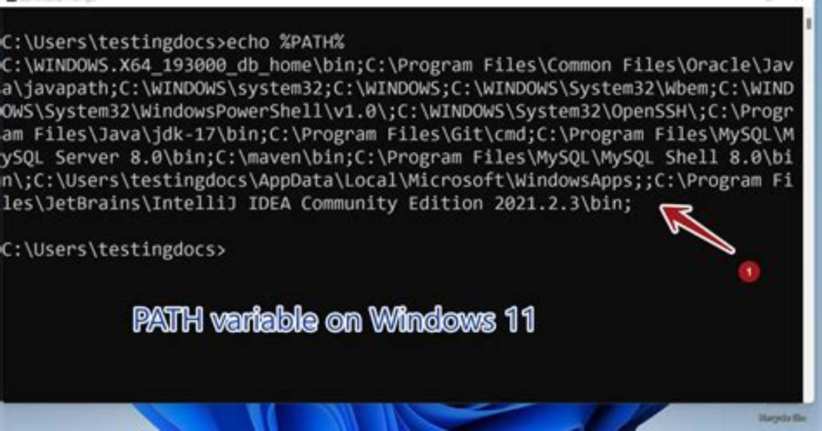 How Do I Set Path Variables for All Users on a Server?