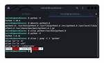 How Do I Set Python3 to Default in Kali Linux?