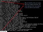 How Do I Show Users in Linux Terminal?