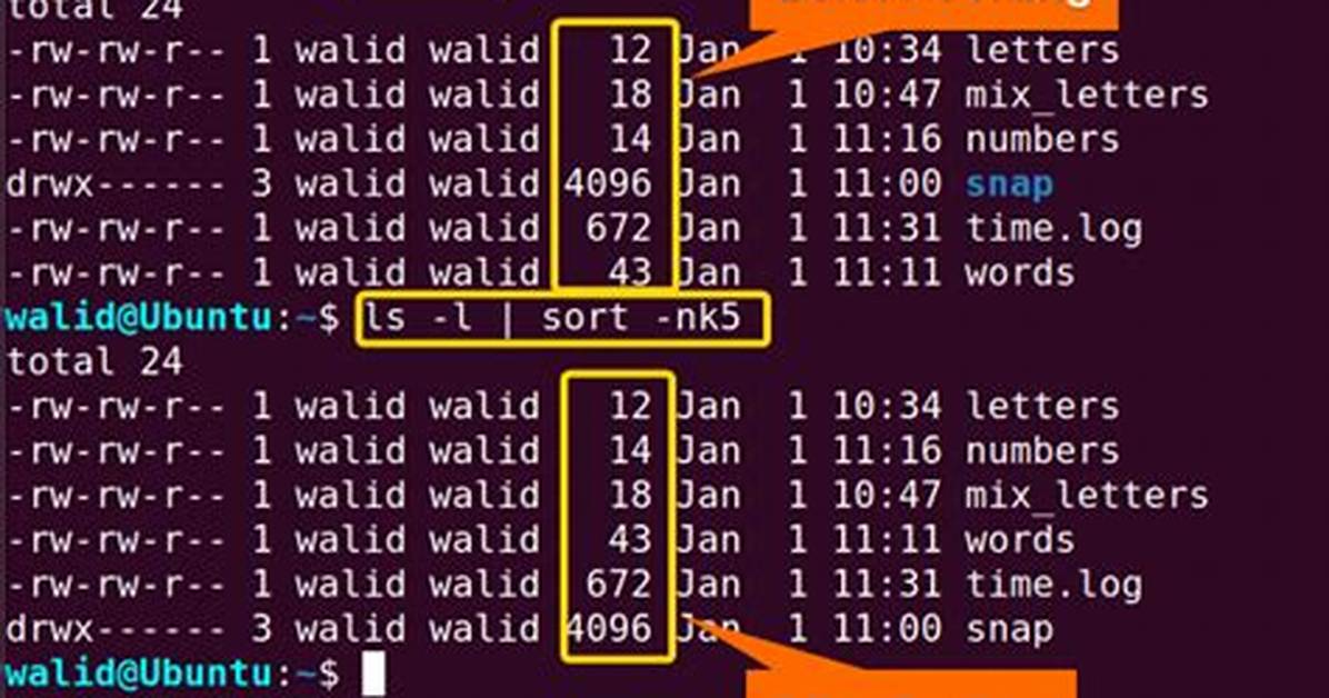 How Do I Sort in Linux?