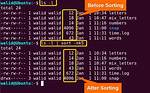 How Do I Sort in Linux?