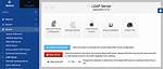 How Do I Start a Ldap Server