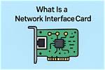 How Do I Start a Network Interface in Linux?