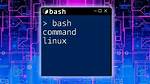 How Do I Start Bash in Linux?