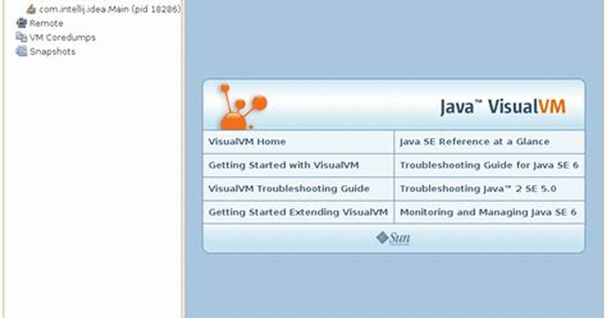 How Do I Start Java Visualvm on Linux?