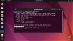 How Do I Start Mysql in Linux Terminal?