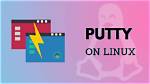 How Do I Start Putty in Linux?