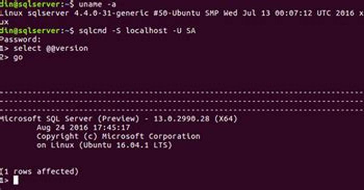How Do I Start Sql in Linux?