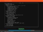 How Do I Start Ubuntu Server?