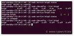 How Do I Stop Httpd Running Under Mac Os X (10.11) El Capitan Server?