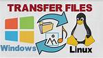 How Do I Transfer Files from Linux to Windows Network?