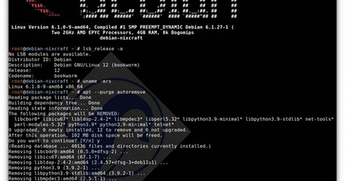 How Do I Update Plex on Debian?
