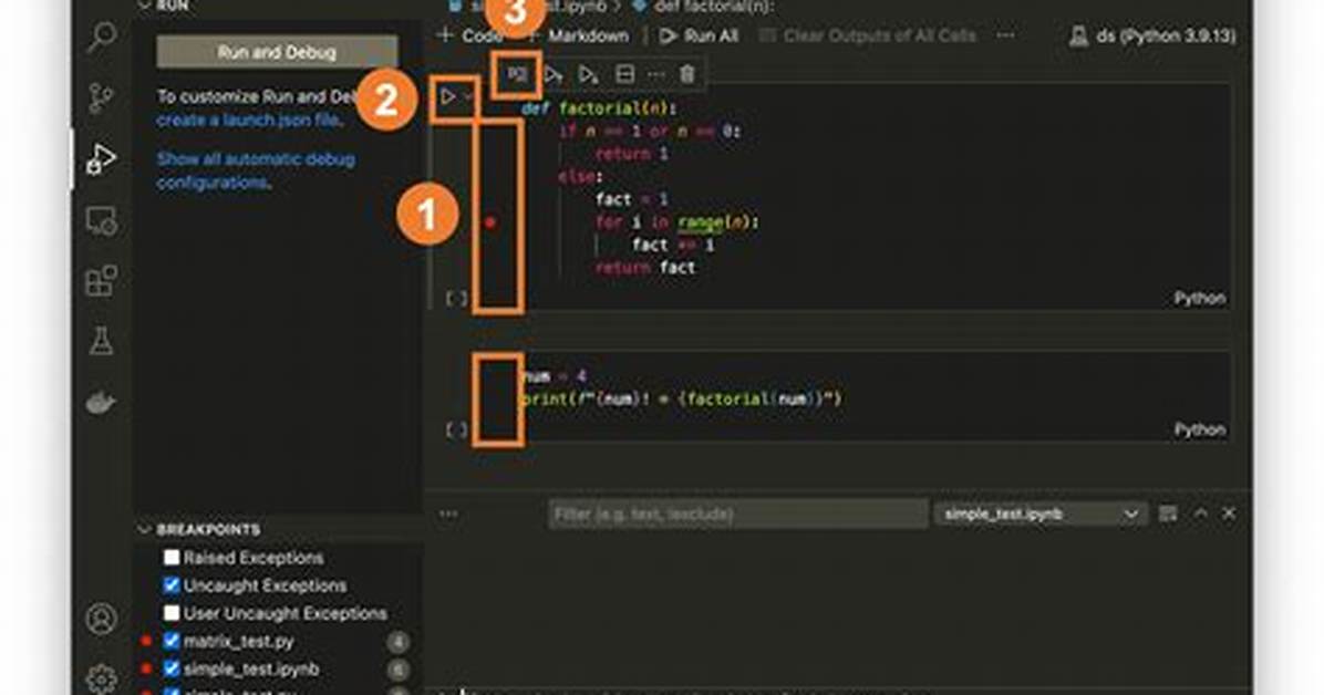How Do I Use Debug Code in Visual Studio?