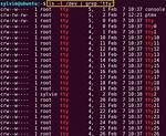 How Do I Use Tty in Linux?