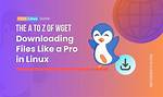 How Do I Use Wget in Linux?