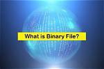 How Do I View a Binary File in Linux?