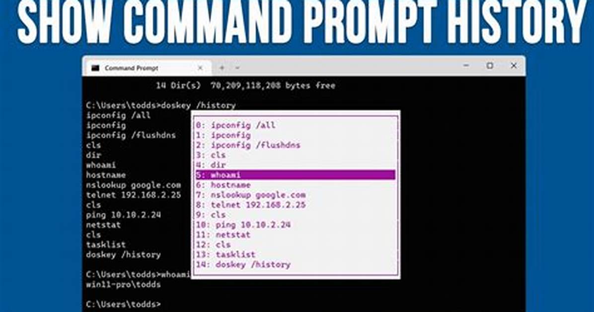 How Do I View a Command in Linux?