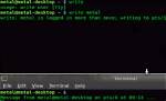 How Do I Write a Linux Terminal Script?