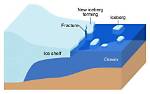 How Do Icebergs Form