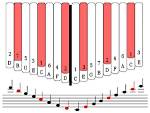 How Do Kalimbas Work?