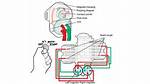 How Do Magnetos Work