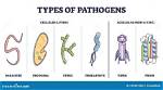 How Do Nonpathogens Differ from Pathogens?