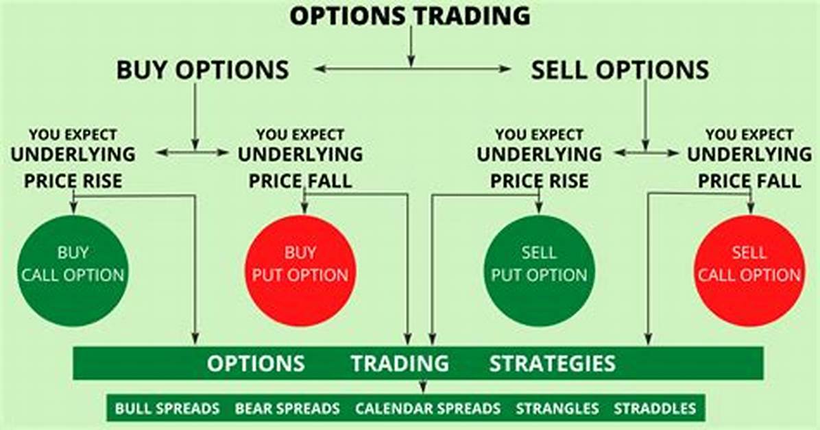 How Do Options Work Example?