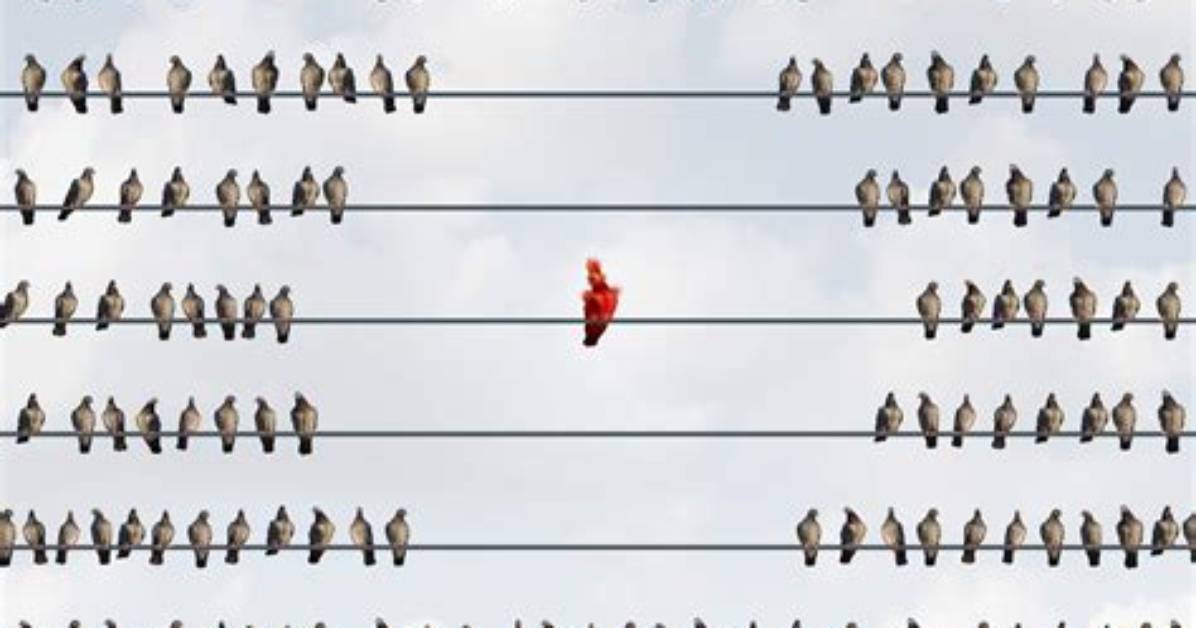 How Do Outcasts Feel?