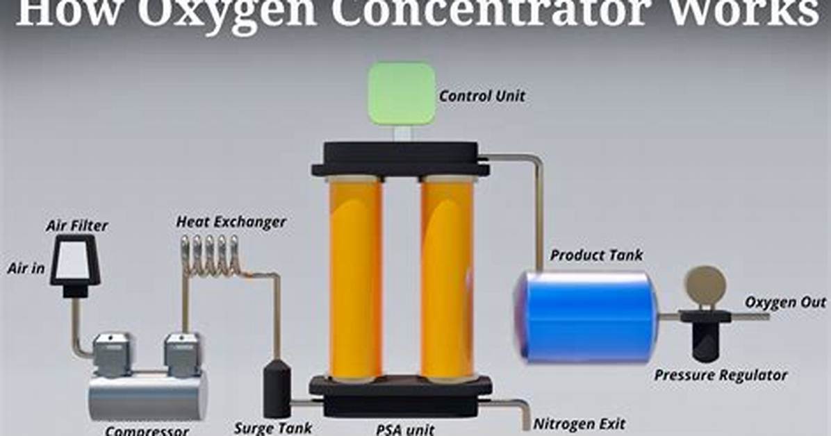 How Do Oxygenators Work?