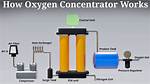 How Do Oxygenators Work?
