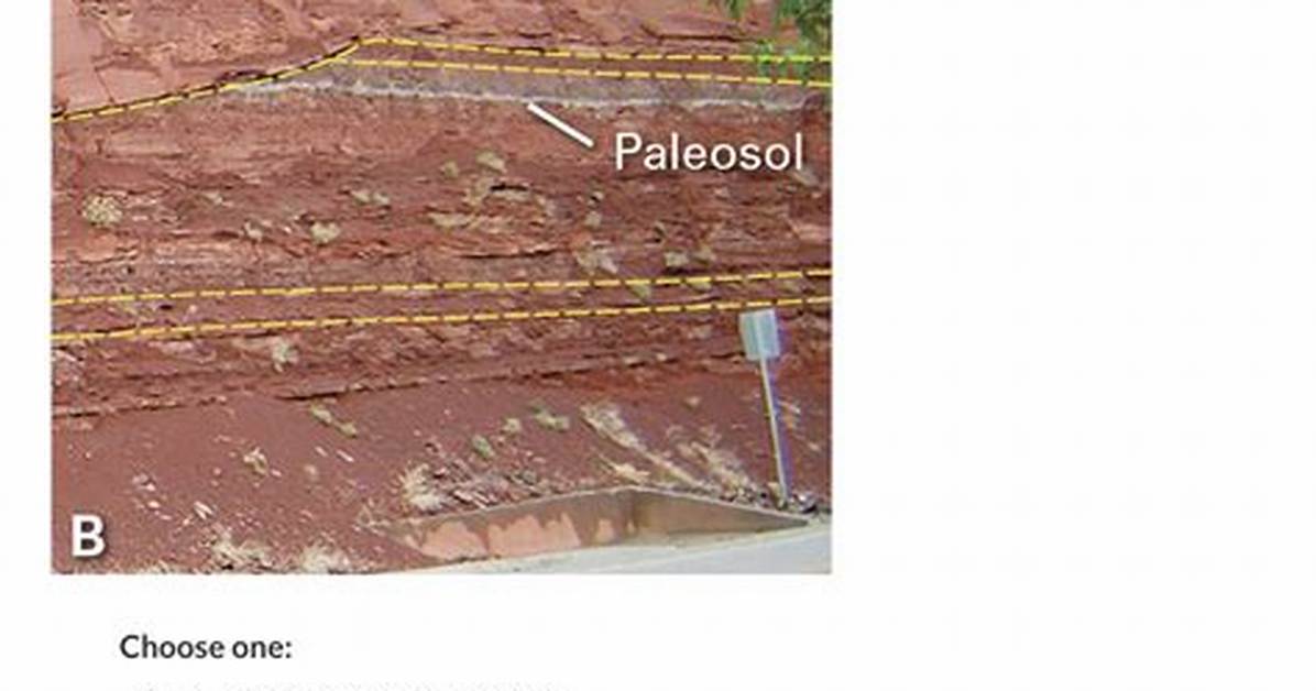 How Do Paleosol Form?