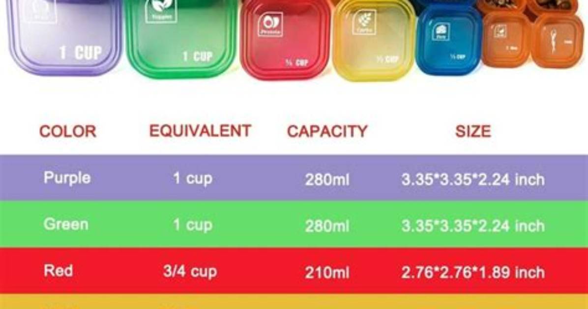 How Do Portion Control Containers Help You Lose Weight?