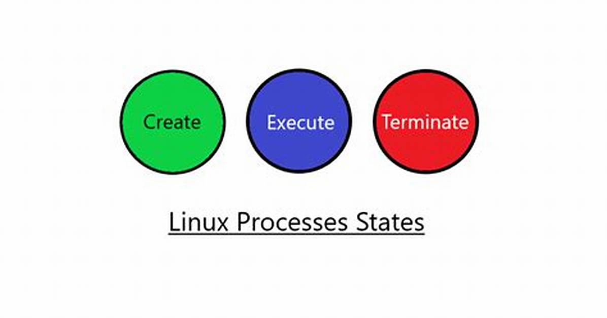 How Do Processes Work in Linux?