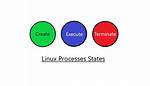 How Do Processes Work in Linux?