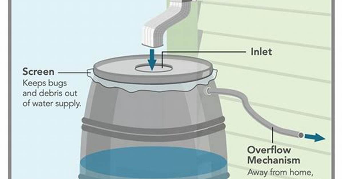 How Do Rain Barrels Work?