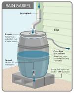 How Do Rain Barrels Work?