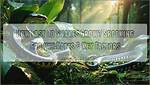 How Do Snakes Grow?
