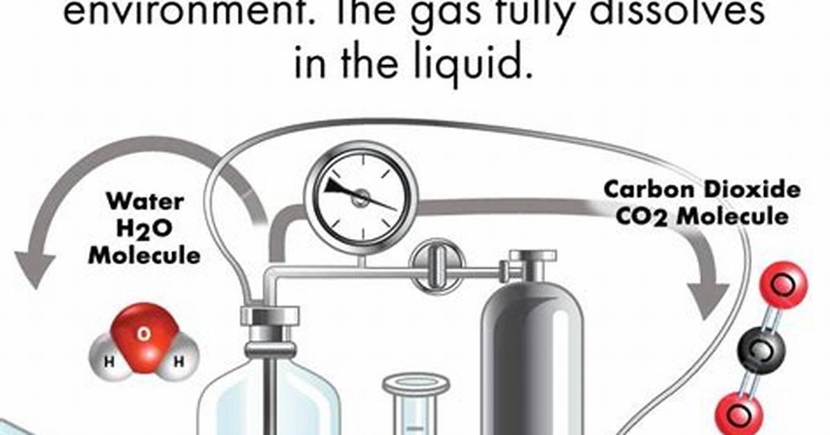 How Do Soda Siphons Work?